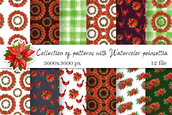 Discover the Magic of Poinsettia Patterns for Your Creative Projects